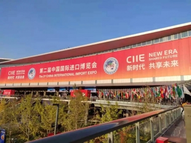 17C视频製造閃耀第二屆進博會